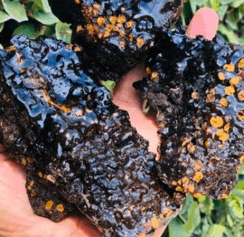 Mumiyo Nasıl Oluşur?